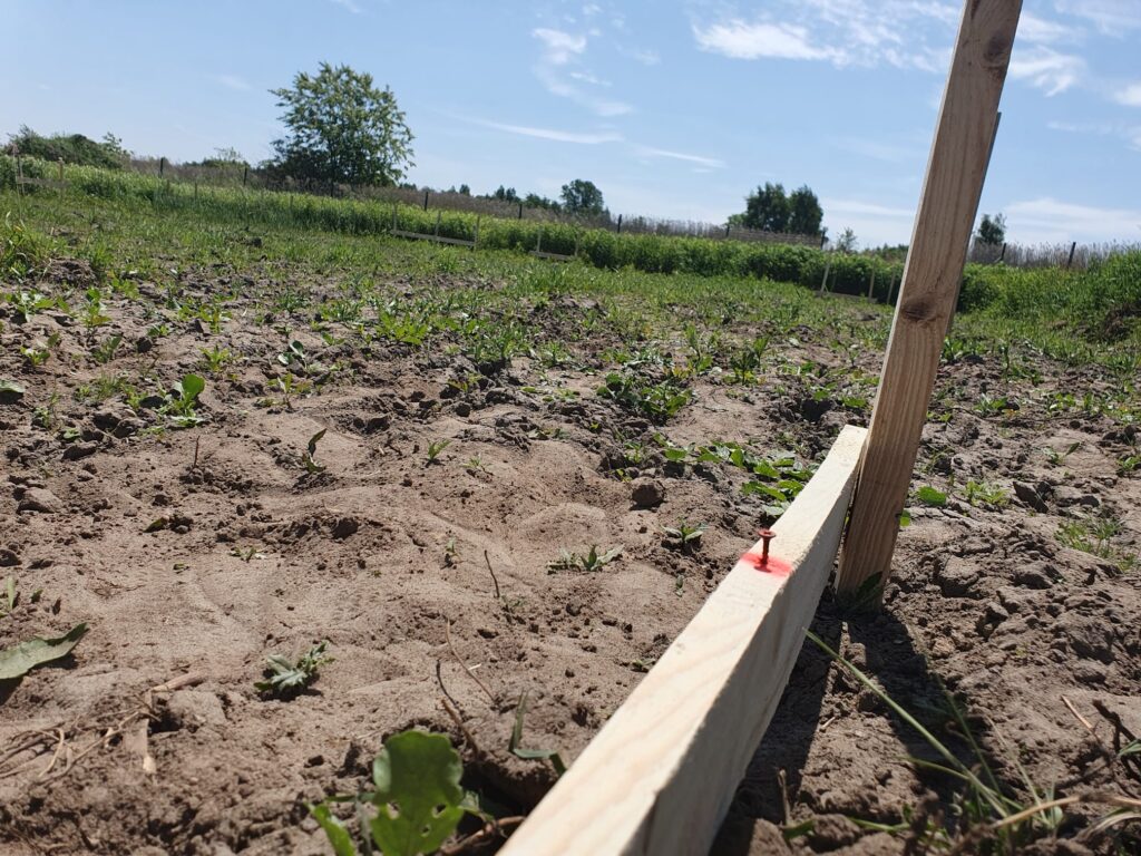 Geodeta Kępno, Geodeta Syców, Geodeta Namysłów, Geodeta Ostrzeszów